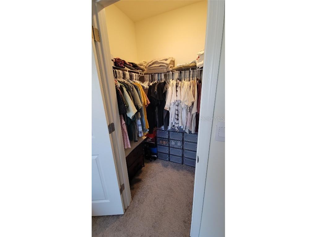 1342 Colt Creek Place Wesley Chapel FL 33543 TB8461911 image17