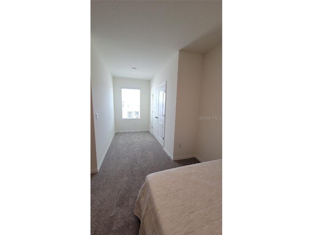 1342 Colt Creek Place Wesley Chapel FL 33543 TB8461911 image20