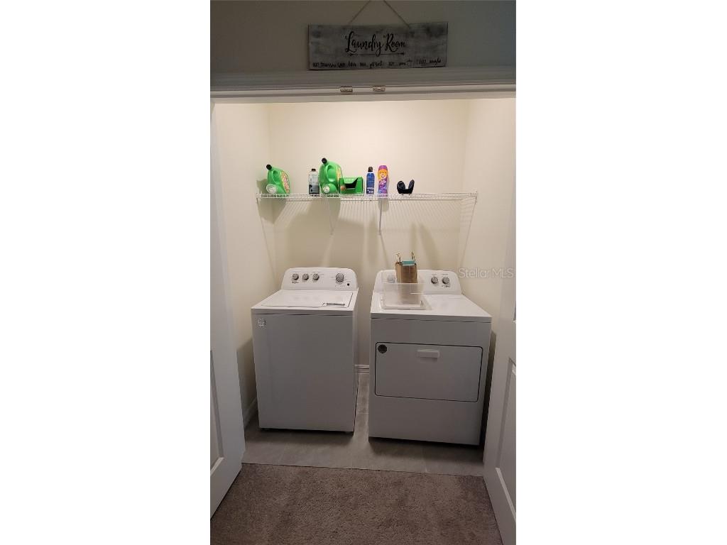 1342 Colt Creek Place Wesley Chapel FL 33543 TB8461911 image24