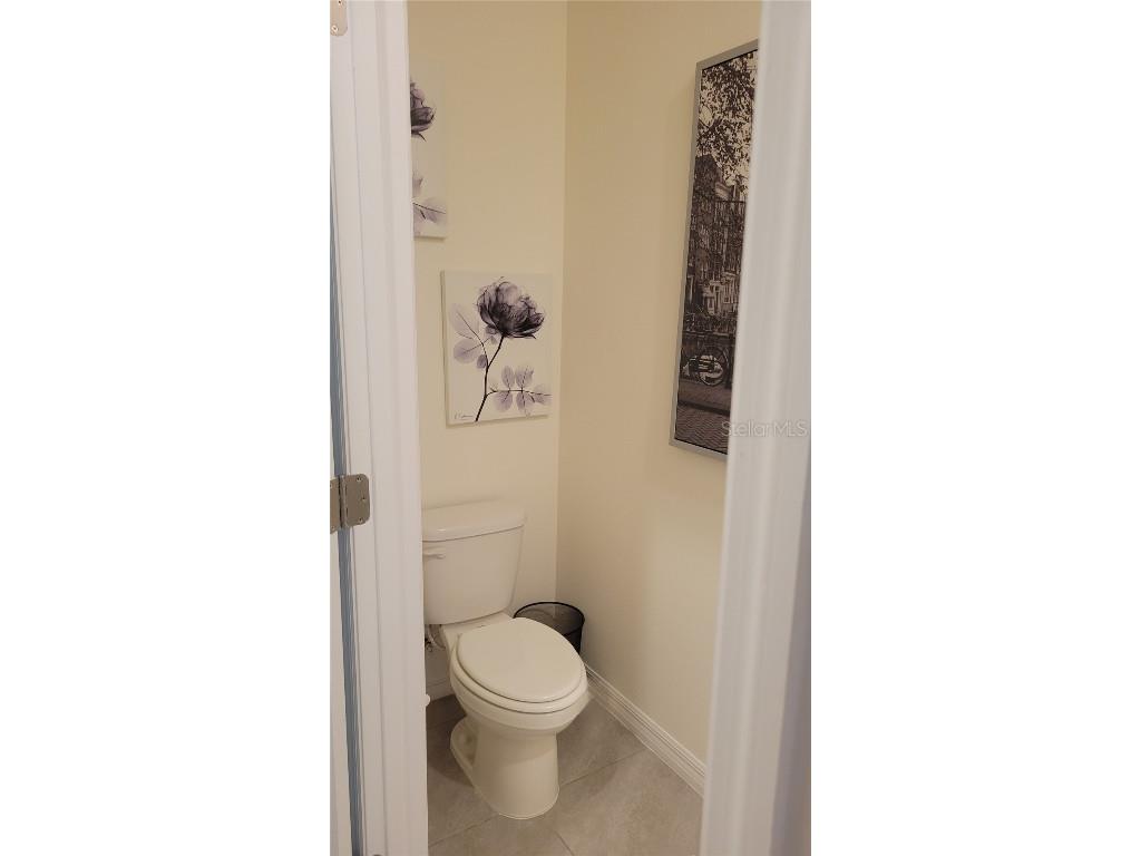 1342 Colt Creek Place Wesley Chapel FL 33543 TB8461911 image4