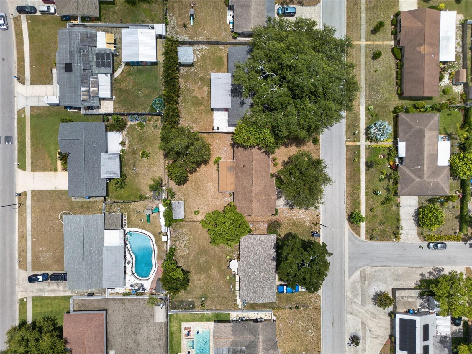 1342 Edmonton Drive Clearwater FL 33756 TB8520515 image31