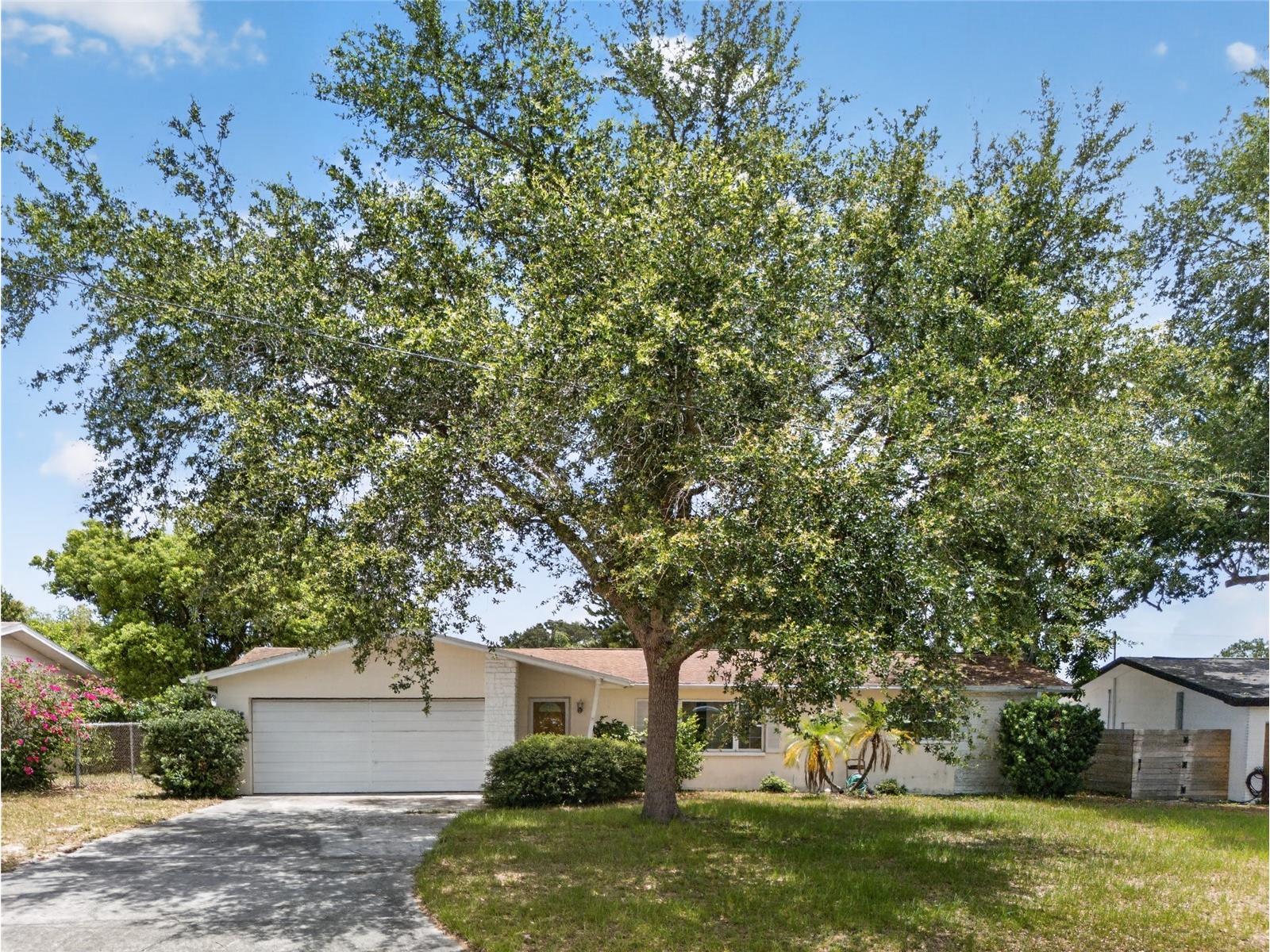 1342 Edmonton Drive Clearwater FL 33756 TB8520515 image35