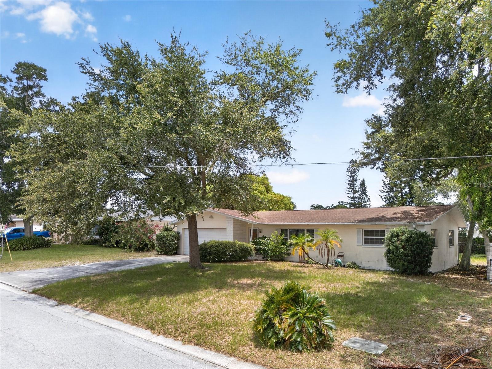 1342 Edmonton Drive Clearwater FL 33756 TB8520515 image37