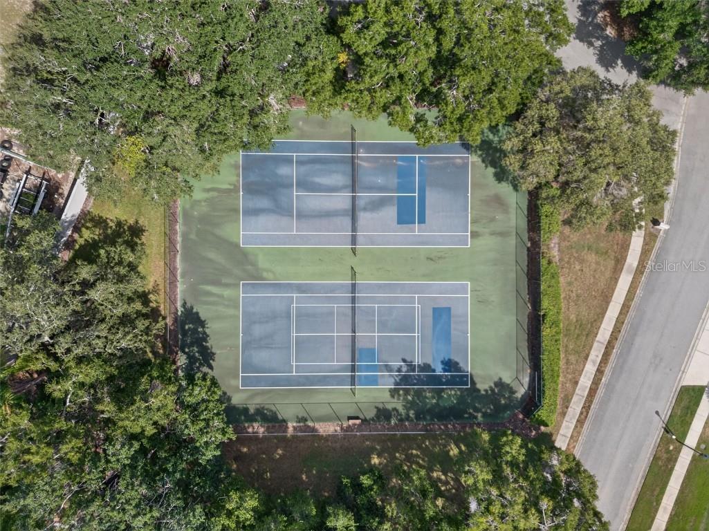 1342 Fishing Lake Drive Odessa FL 33556 TB8434760 image40