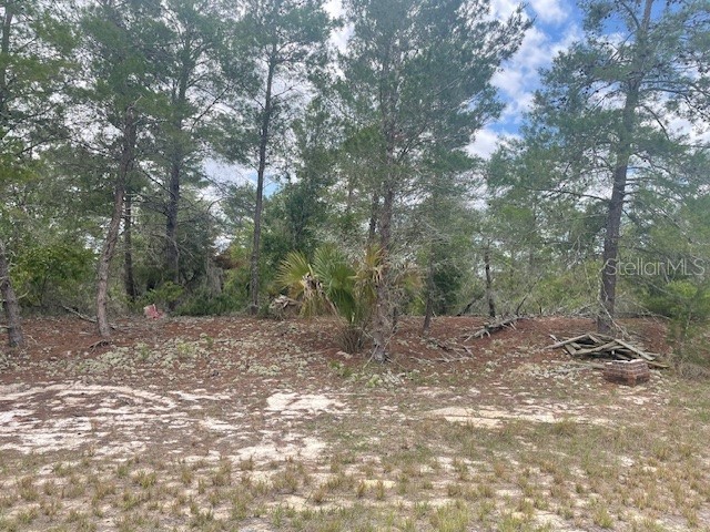 1342 Homosassa Drive Poinciana FL 34759 L4961204 image1