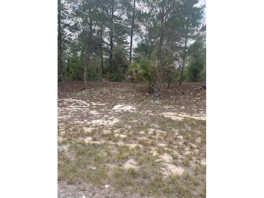 1342 Homosassa Drive Poinciana FL 34759 L4961204 image2