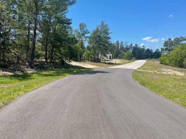 1342 Homosassa Drive Poinciana FL 34759 L4961204 image3