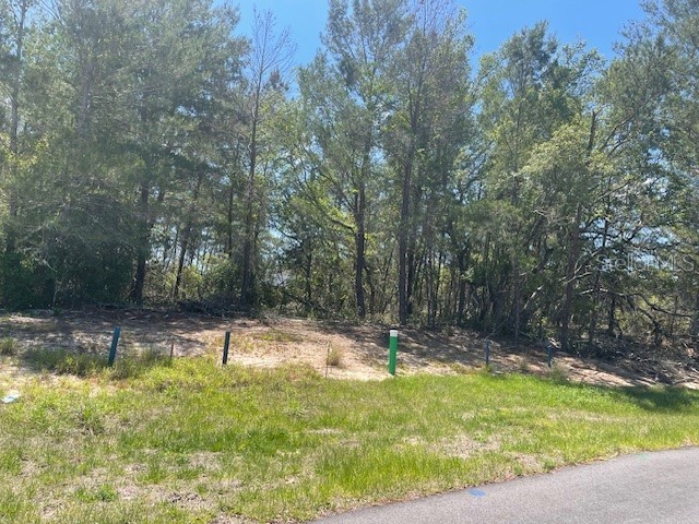 1342 Homosassa Drive Poinciana FL 34759 L4961204 image4
