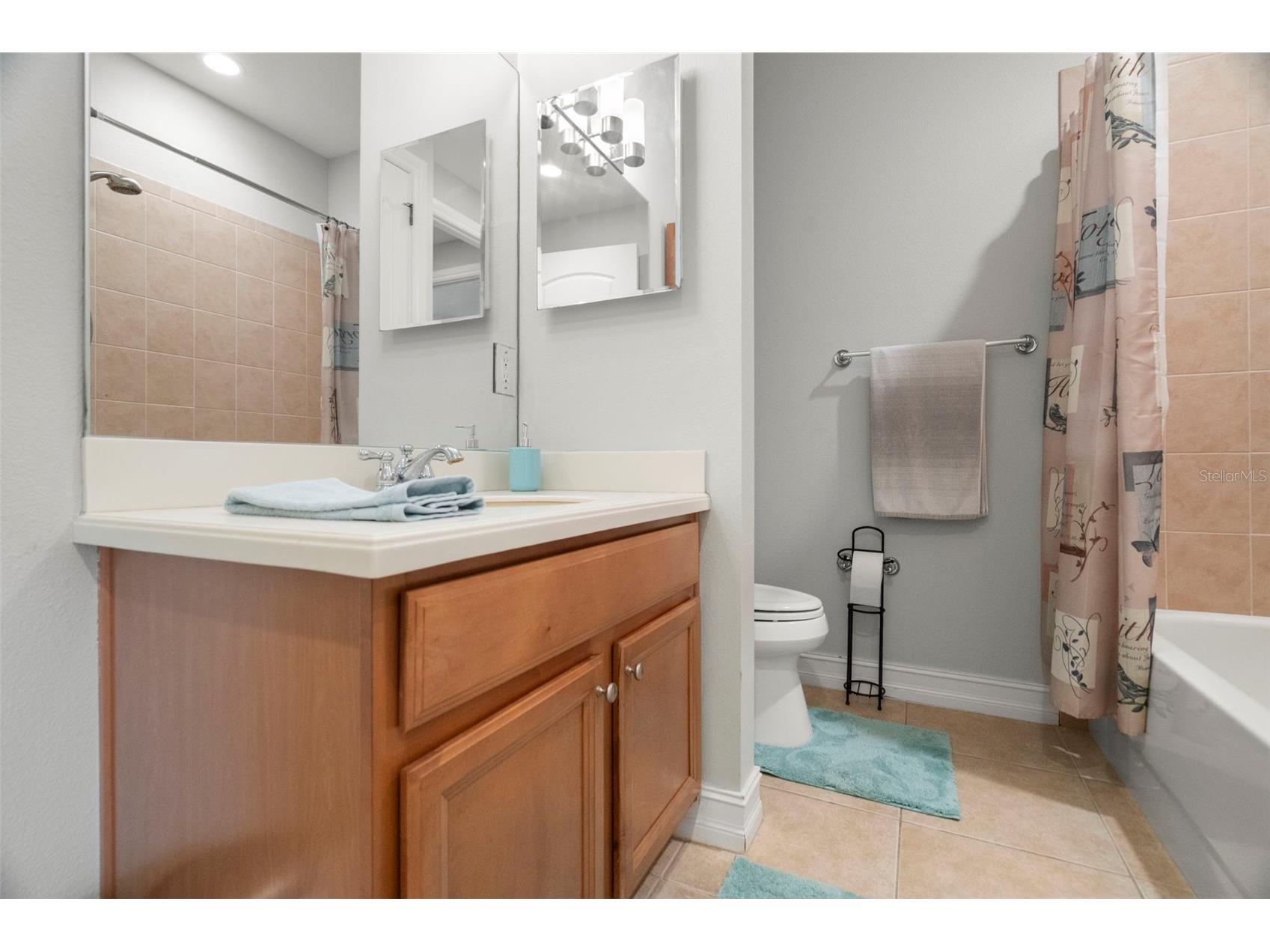 1342 Ribolla Drive Palm Harbor FL 34683 TB8501569 image14