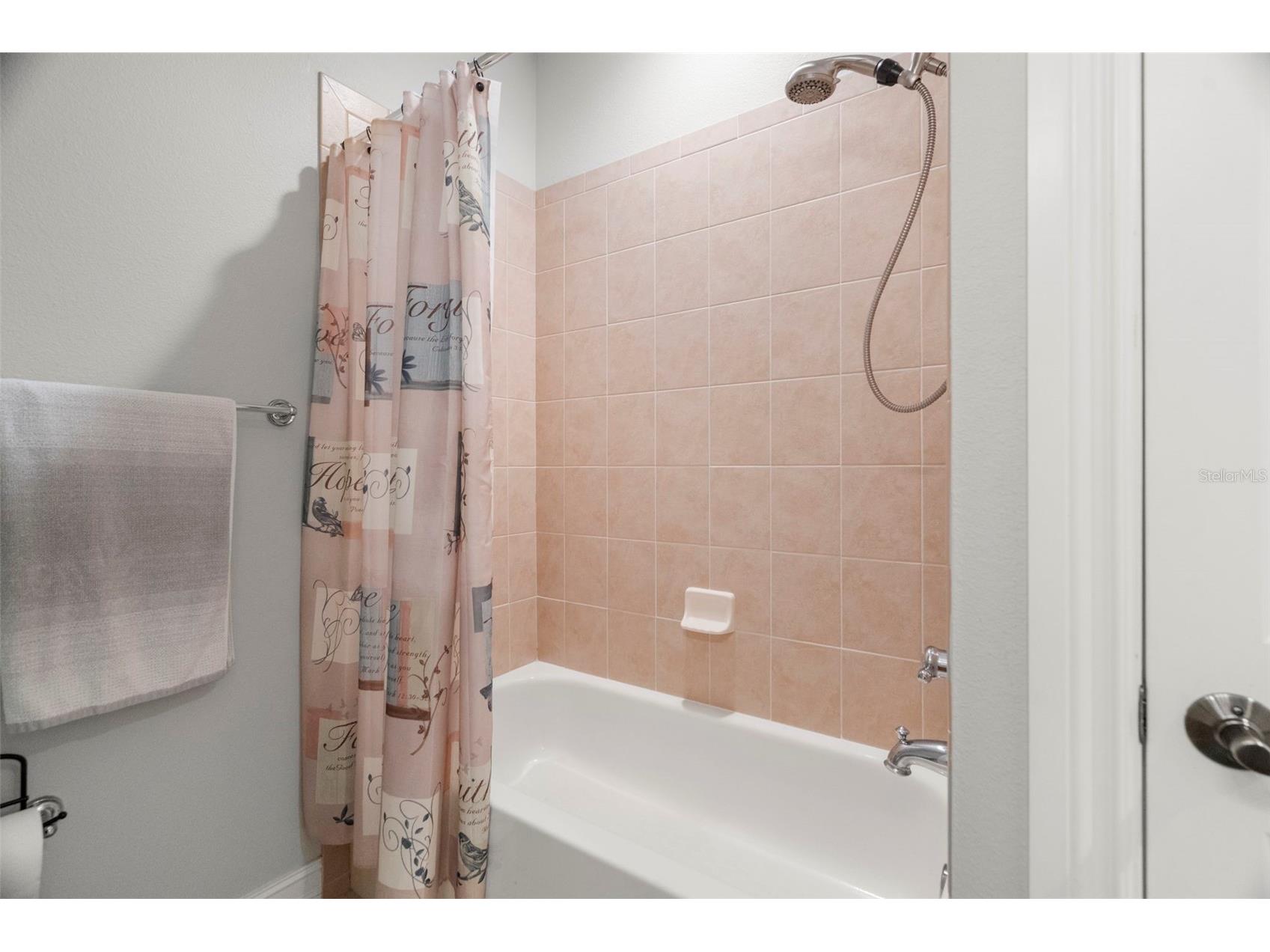 1342 Ribolla Drive Palm Harbor FL 34683 TB8501569 image15