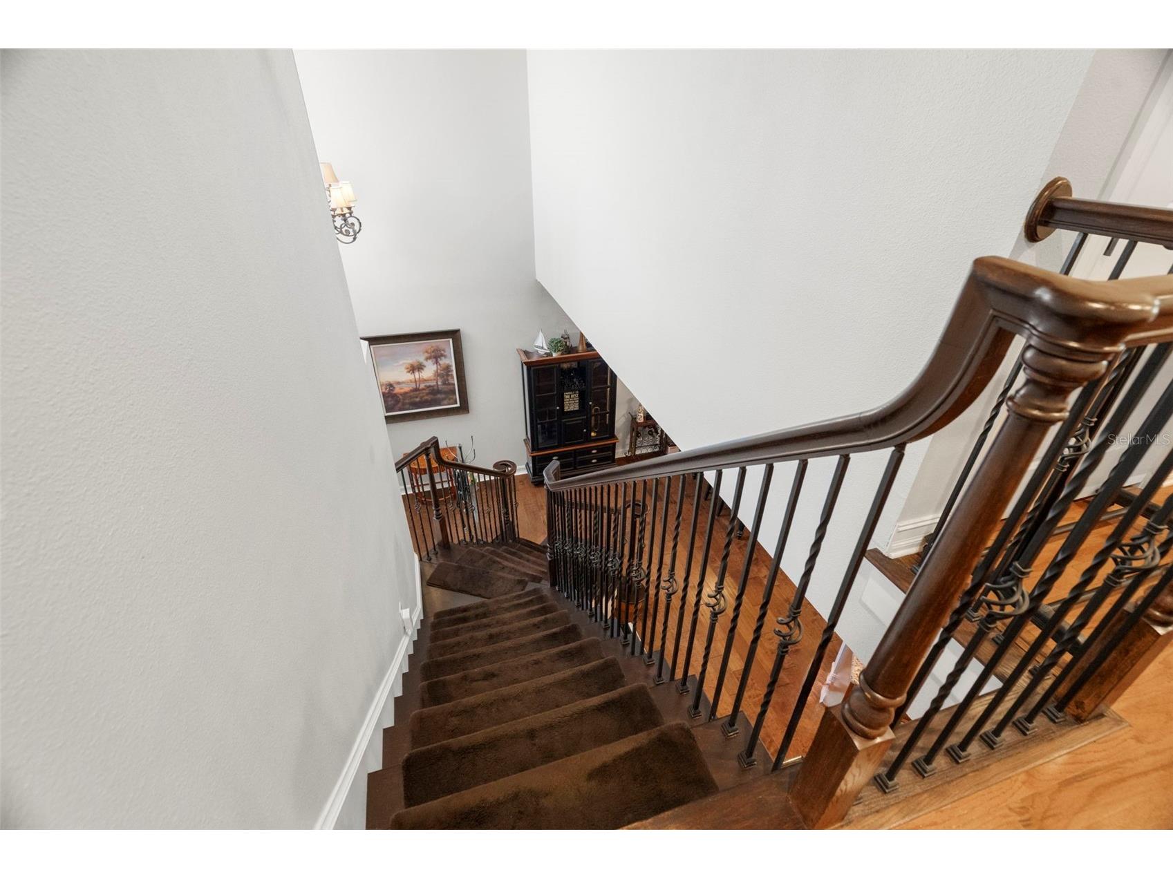 1342 Ribolla Drive Palm Harbor FL 34683 TB8501569 image16