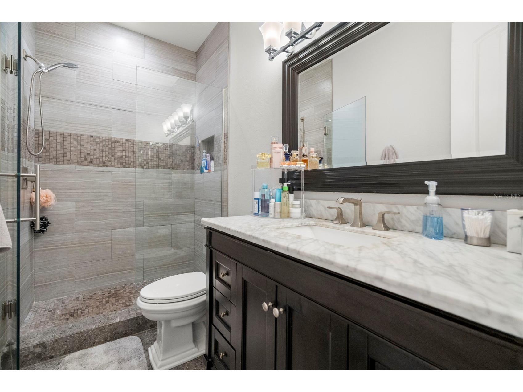 1342 Ribolla Drive Palm Harbor FL 34683 TB8501569 image27