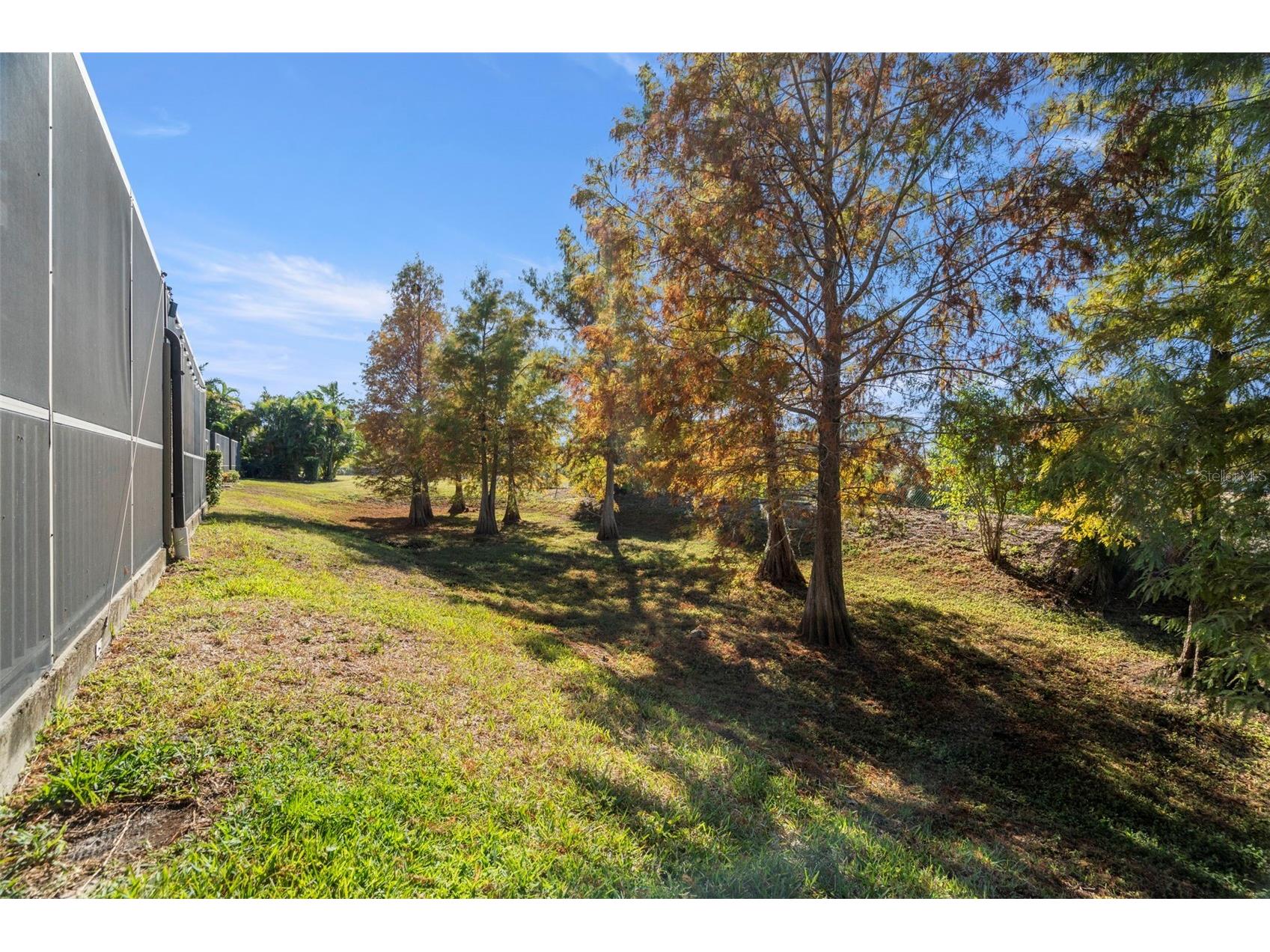 1342 Ribolla Drive Palm Harbor FL 34683 TB8501569 image32