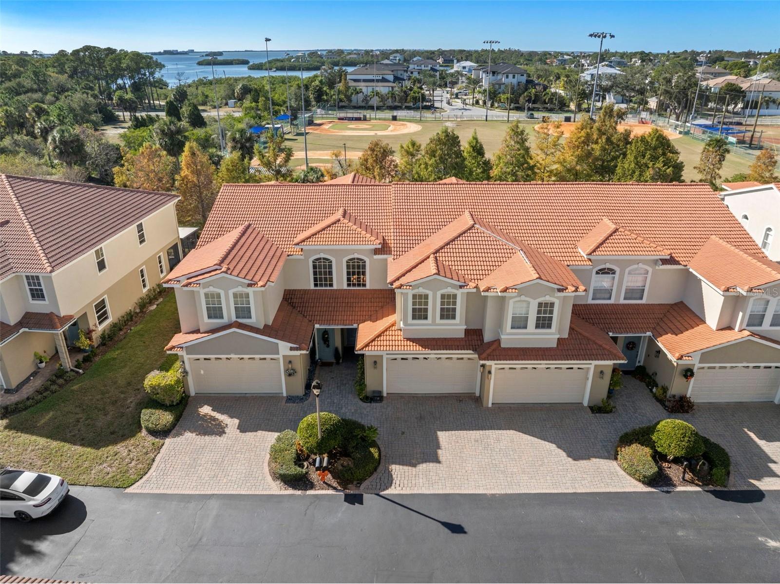 1342 Ribolla Drive Palm Harbor FL 34683 TB8501569 image33
