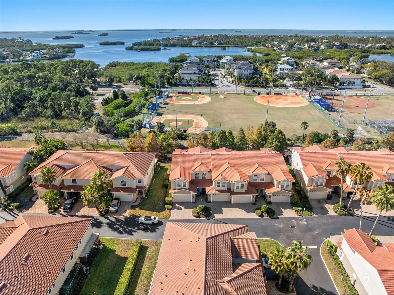 1342 Ribolla Drive Palm Harbor FL 34683 TB8501569 image34