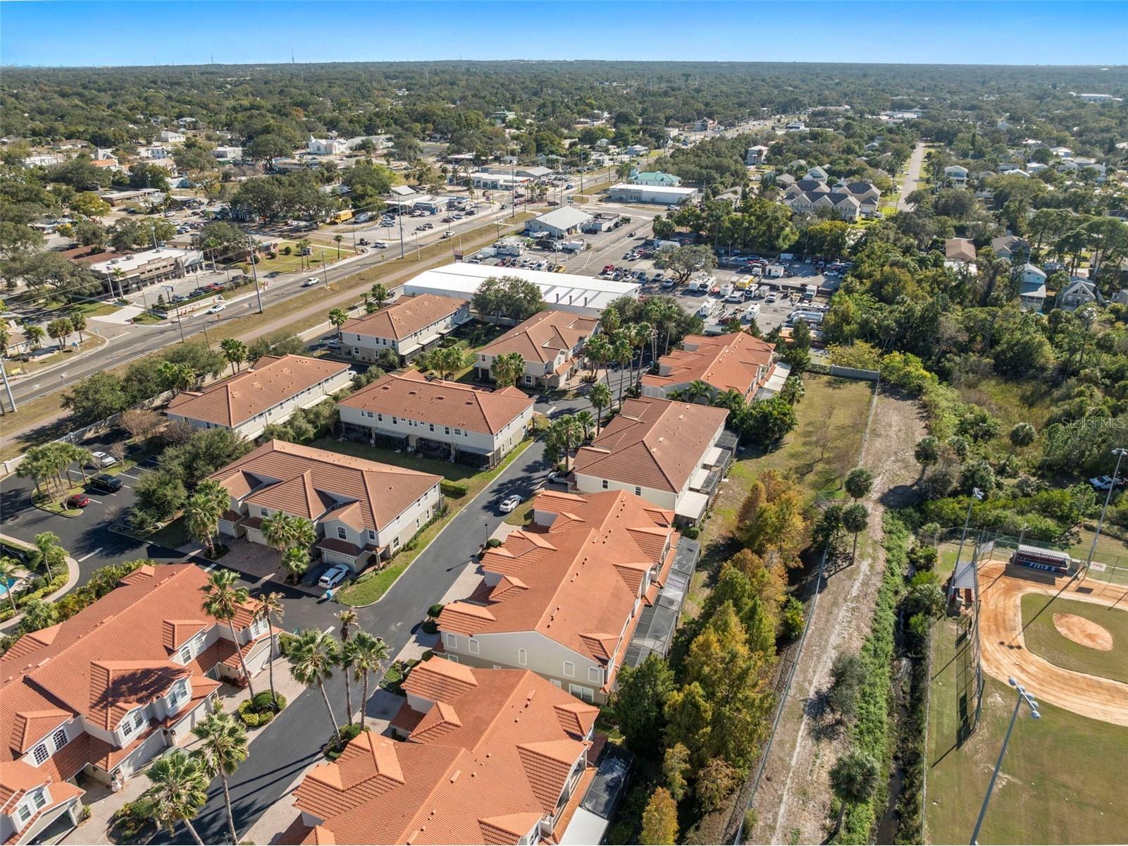 1342 Ribolla Drive Palm Harbor FL 34683 TB8501569 image35