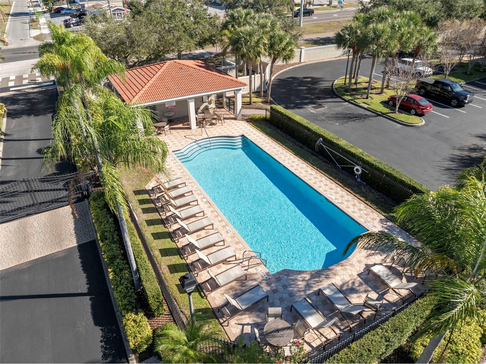 1342 Ribolla Drive Palm Harbor FL 34683 TB8501569 image36