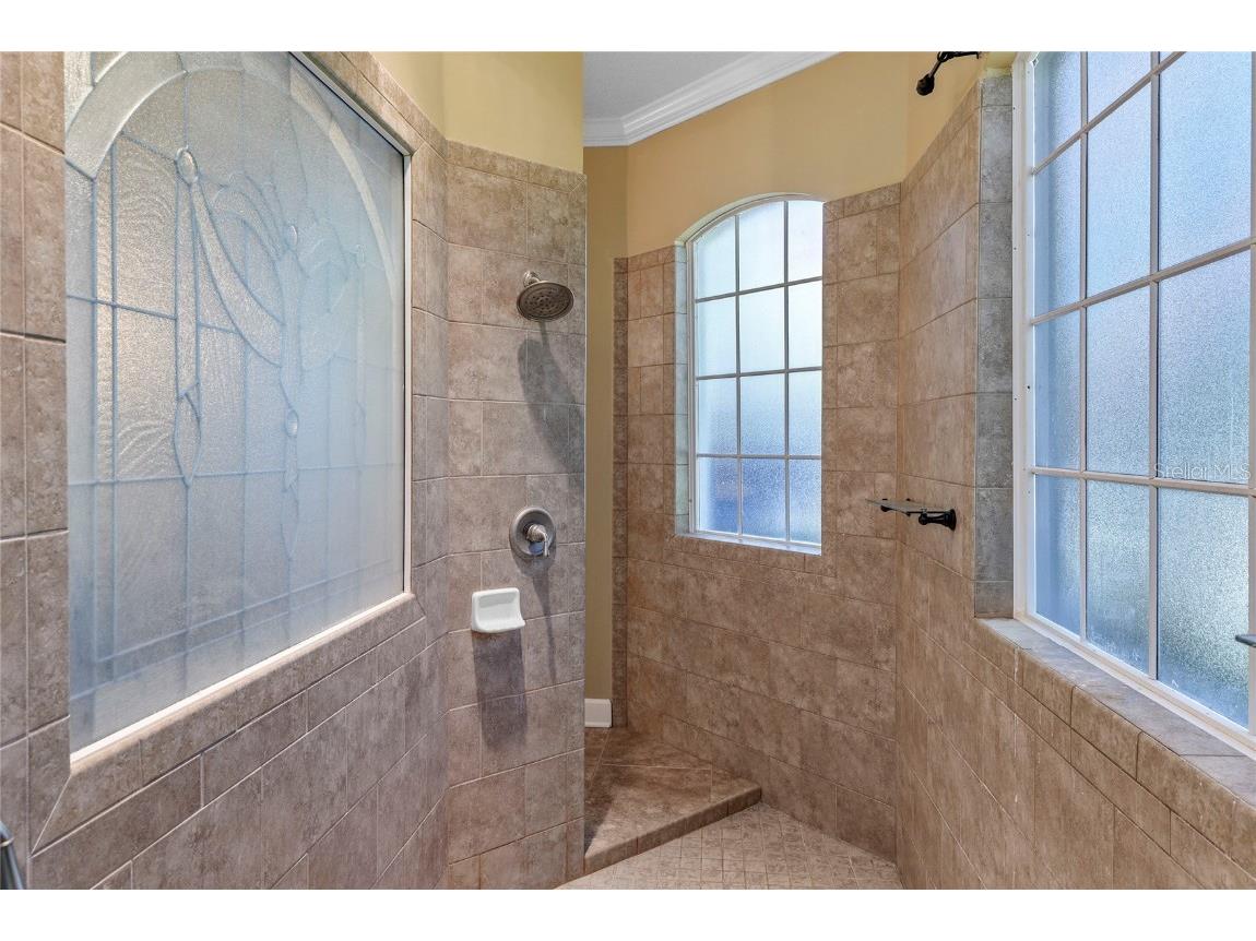 13420 Bonica Way Windermere FL 34786 O6347722 image30