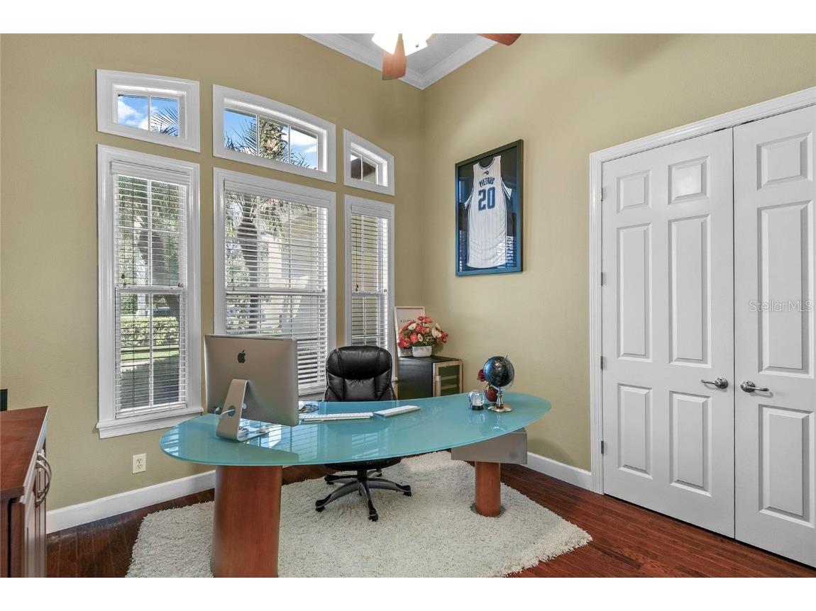 13420 Bonica Way Windermere FL 34786 O6347722 image42