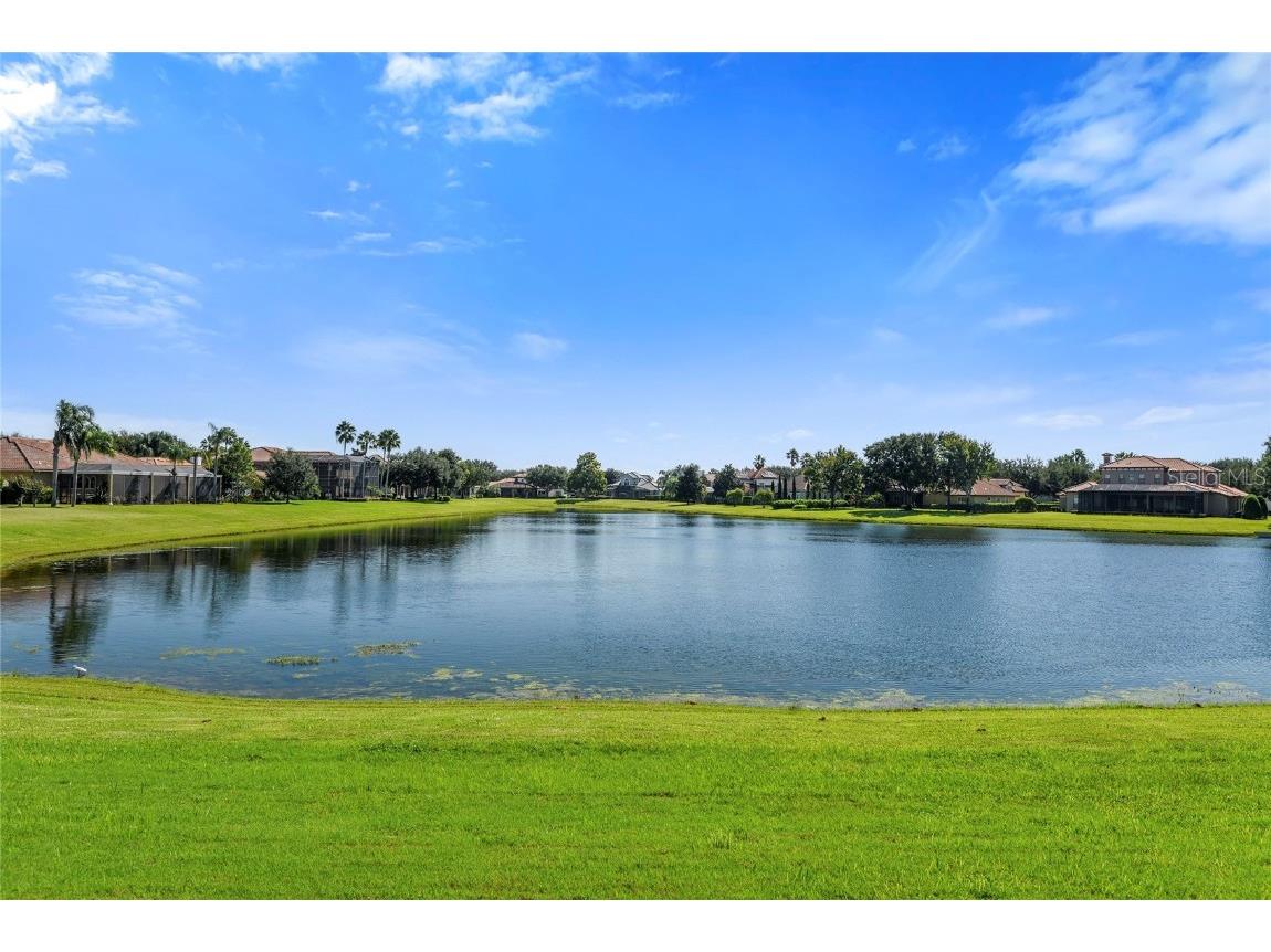 13420 Bonica Way Windermere FL 34786 O6347722 image49