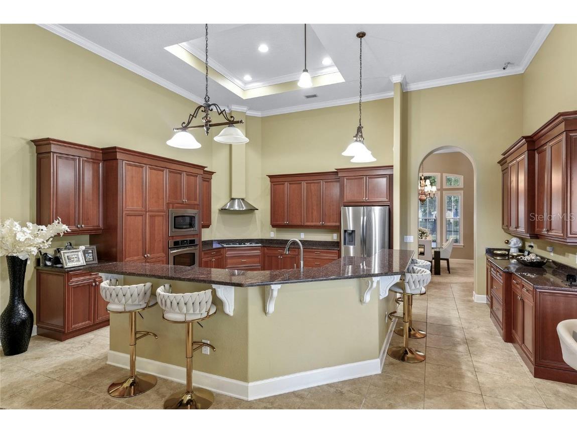 13420 Bonica Way Windermere FL 34786 O6347722 image5