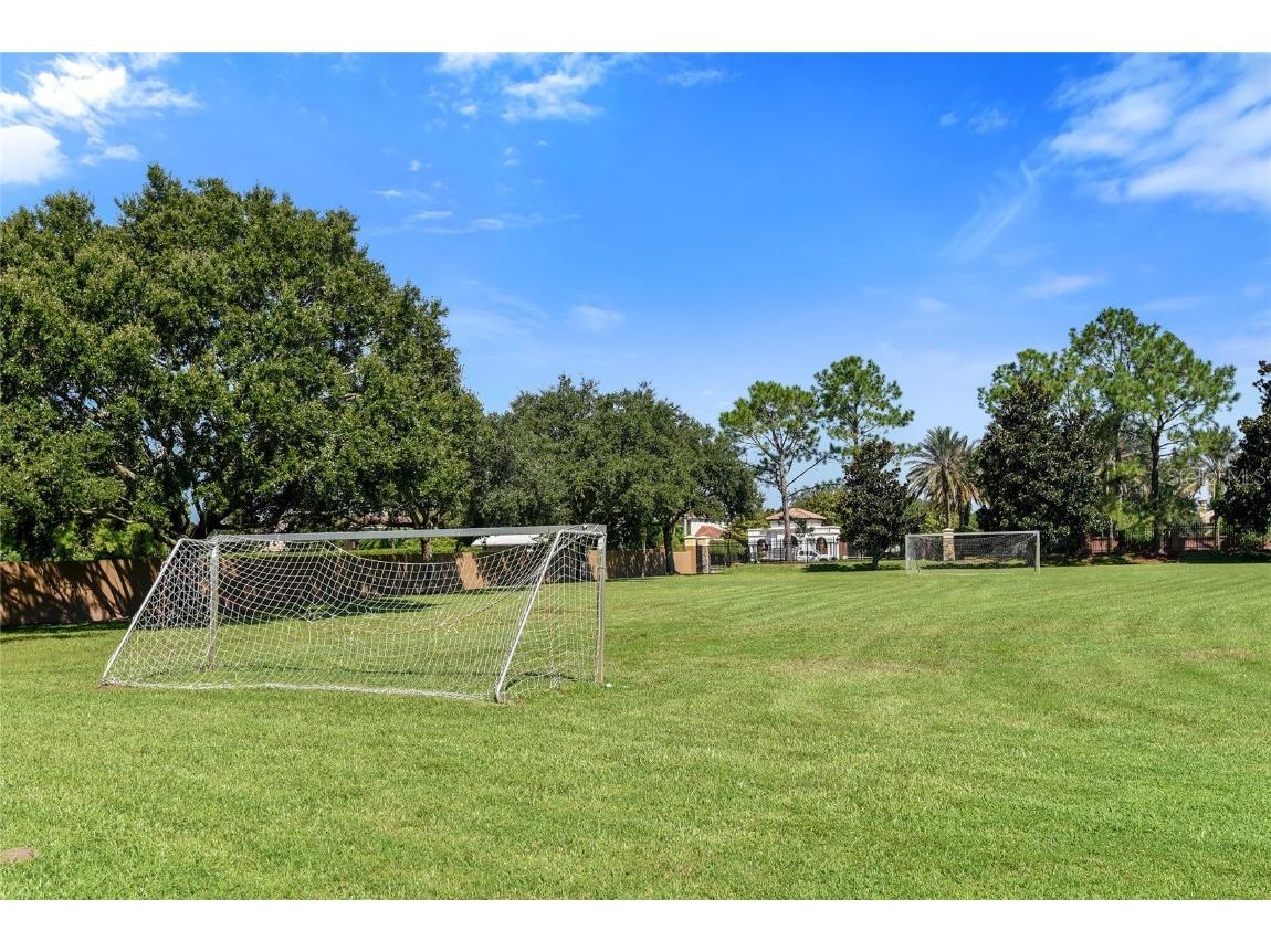 13420 Bonica Way Windermere FL 34786 O6347722 image58