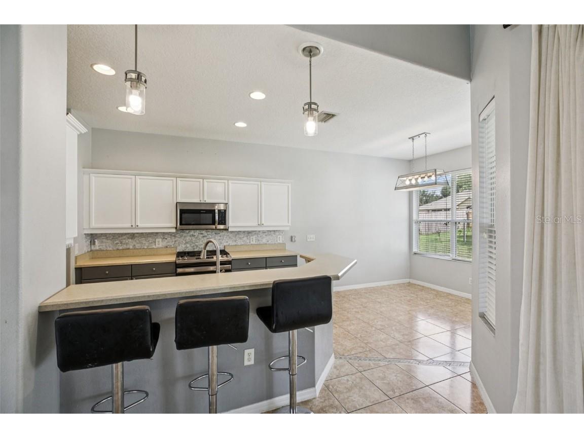 13421 Biscayne Drive Grand Island FL 32735 G5101269 image13