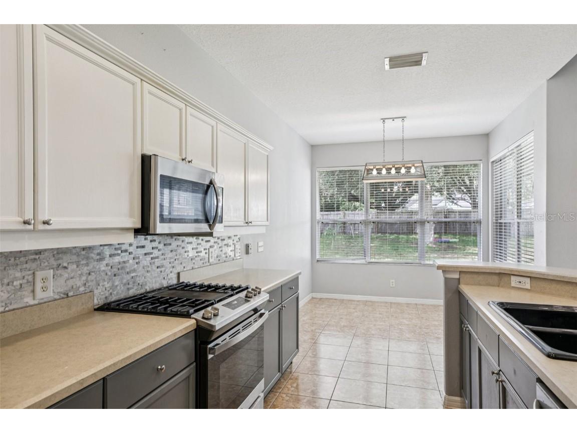 13421 Biscayne Drive Grand Island FL 32735 G5101269 image17