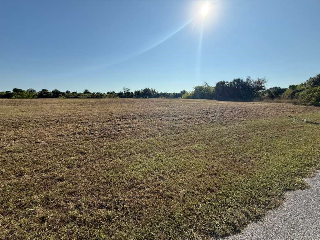 13421 Greencastle Avenue Port Charlotte FL 33981 - SANTA CRUZ WATERWAY D6144803 image8