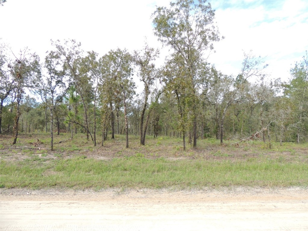 13421 SE 21st Place Morriston FL 32668 OM685764 image1