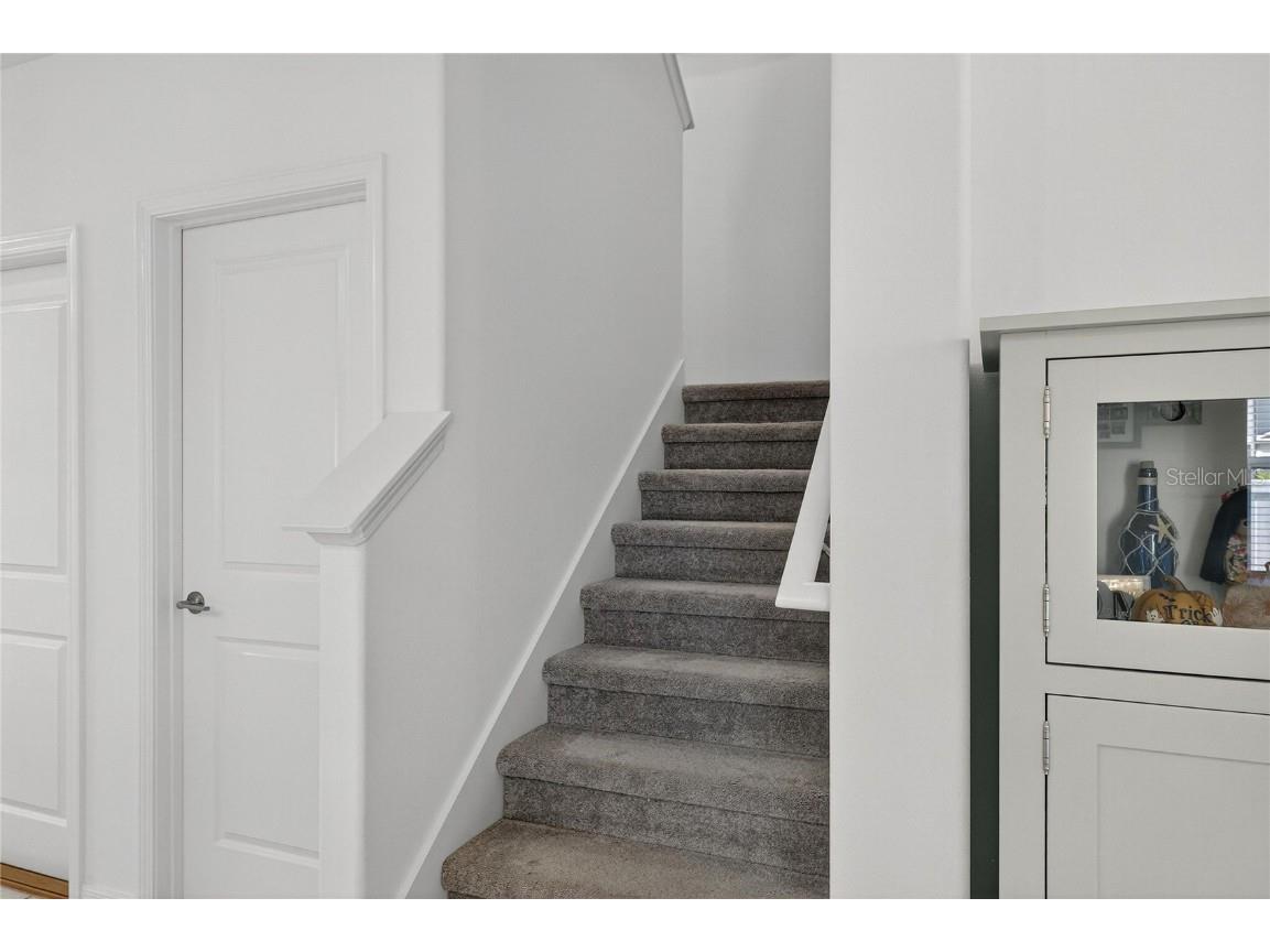 13423 Jamaica Plank Loop Riverview FL 33579 TB8441875 image37