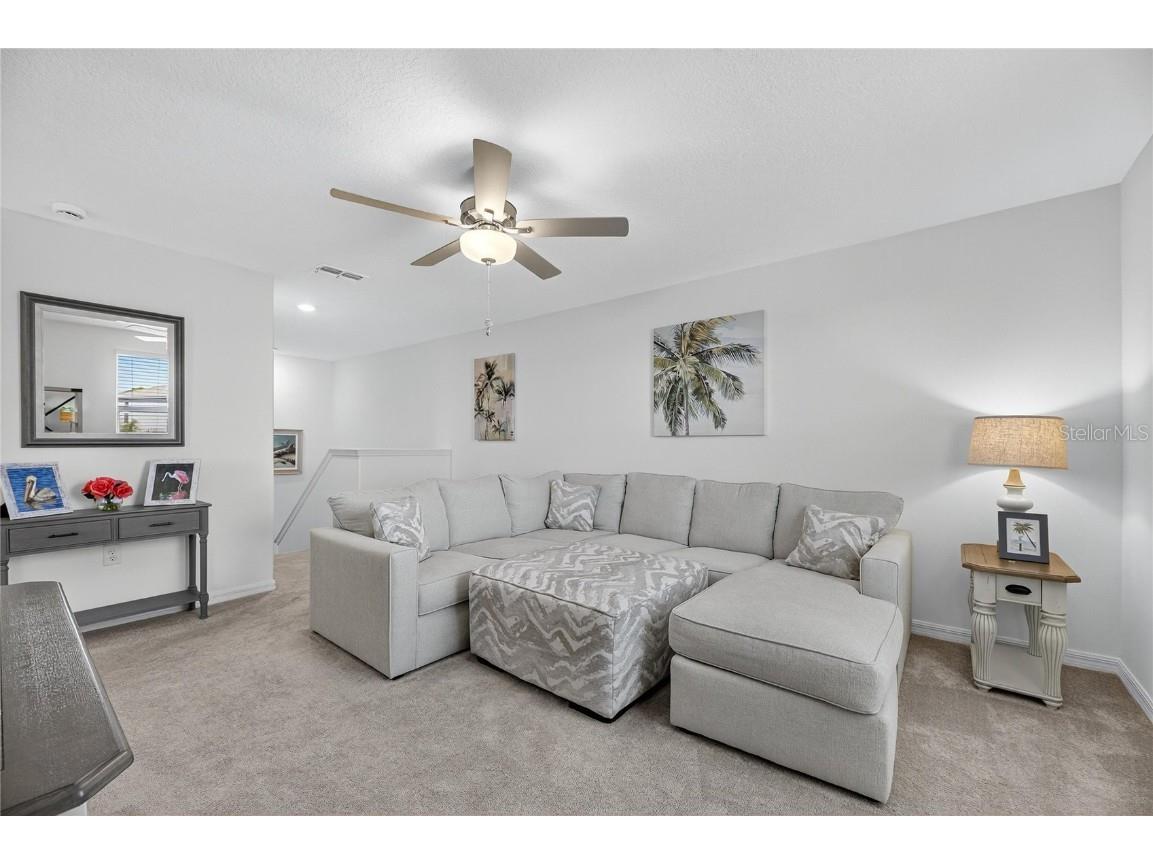 13423 Jamaica Plank Loop Riverview FL 33579 TB8441875 image38