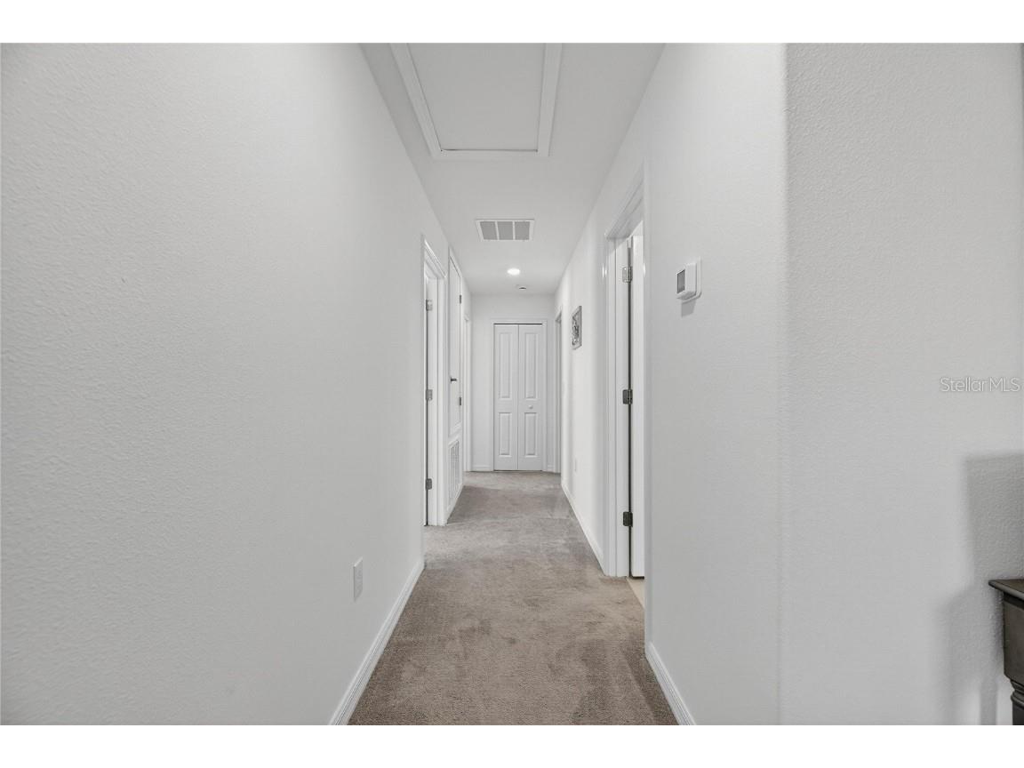 13423 Jamaica Plank Loop Riverview FL 33579 TB8441875 image39