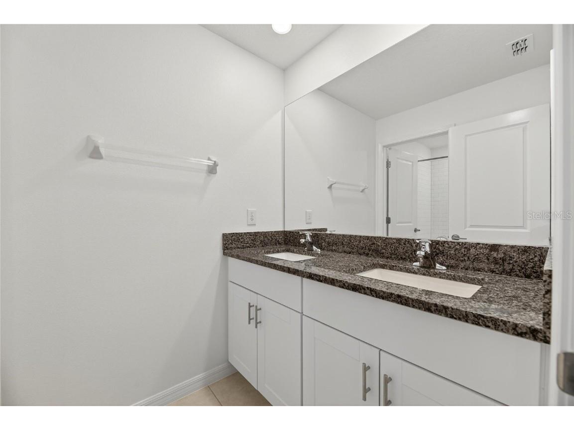 13423 Jamaica Plank Loop Riverview FL 33579 TB8441875 image42