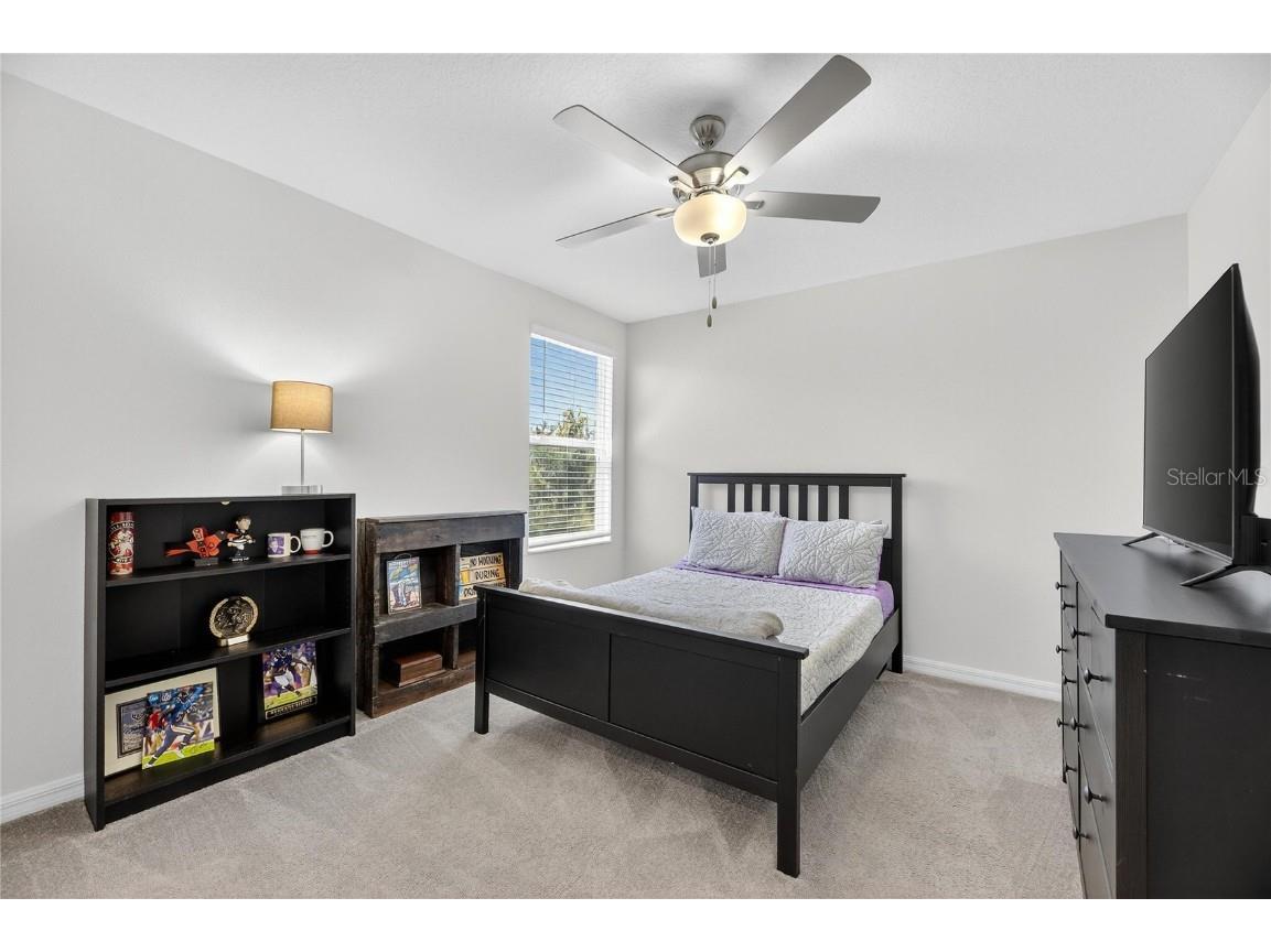 13423 Jamaica Plank Loop Riverview FL 33579 TB8441875 image46