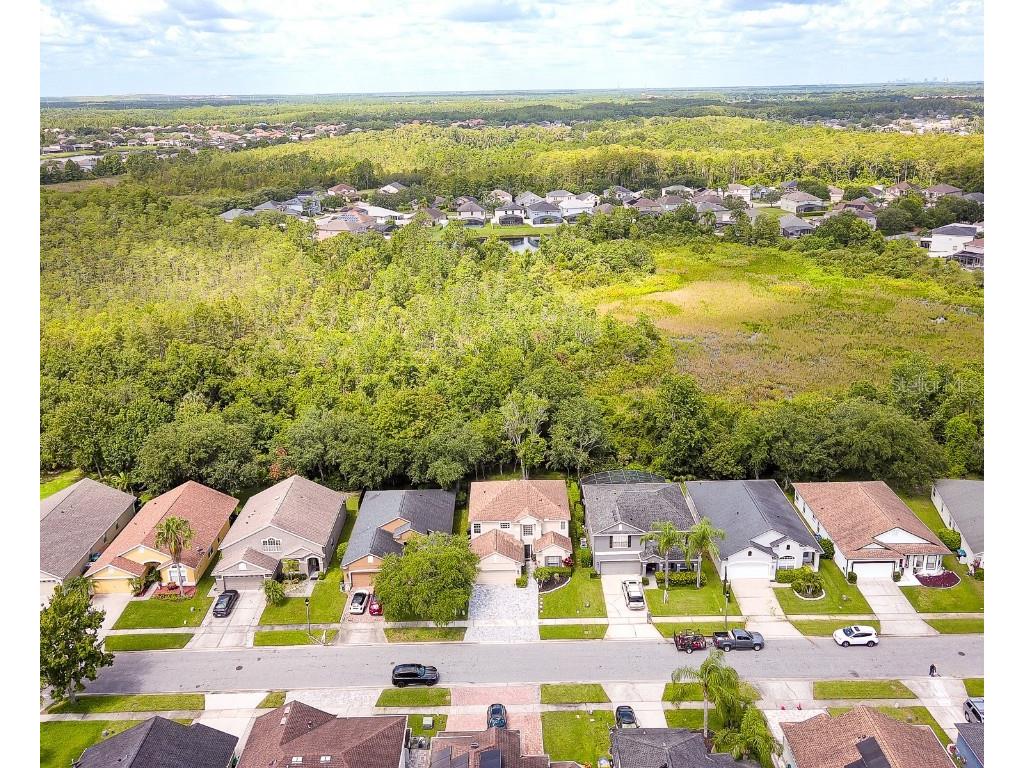 13425 Early Frost Cir Orlando FL 32828 O6324935 image40