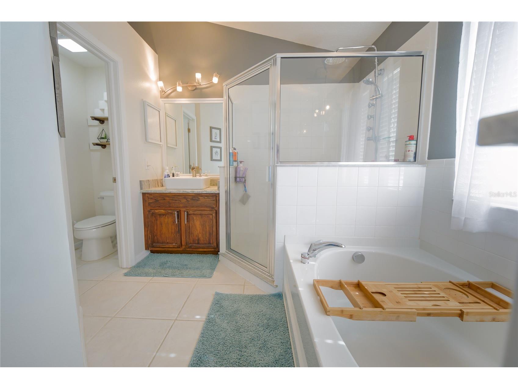 13425 Fladgate Mark Drive Riverview FL 33579 TB8507508 image21