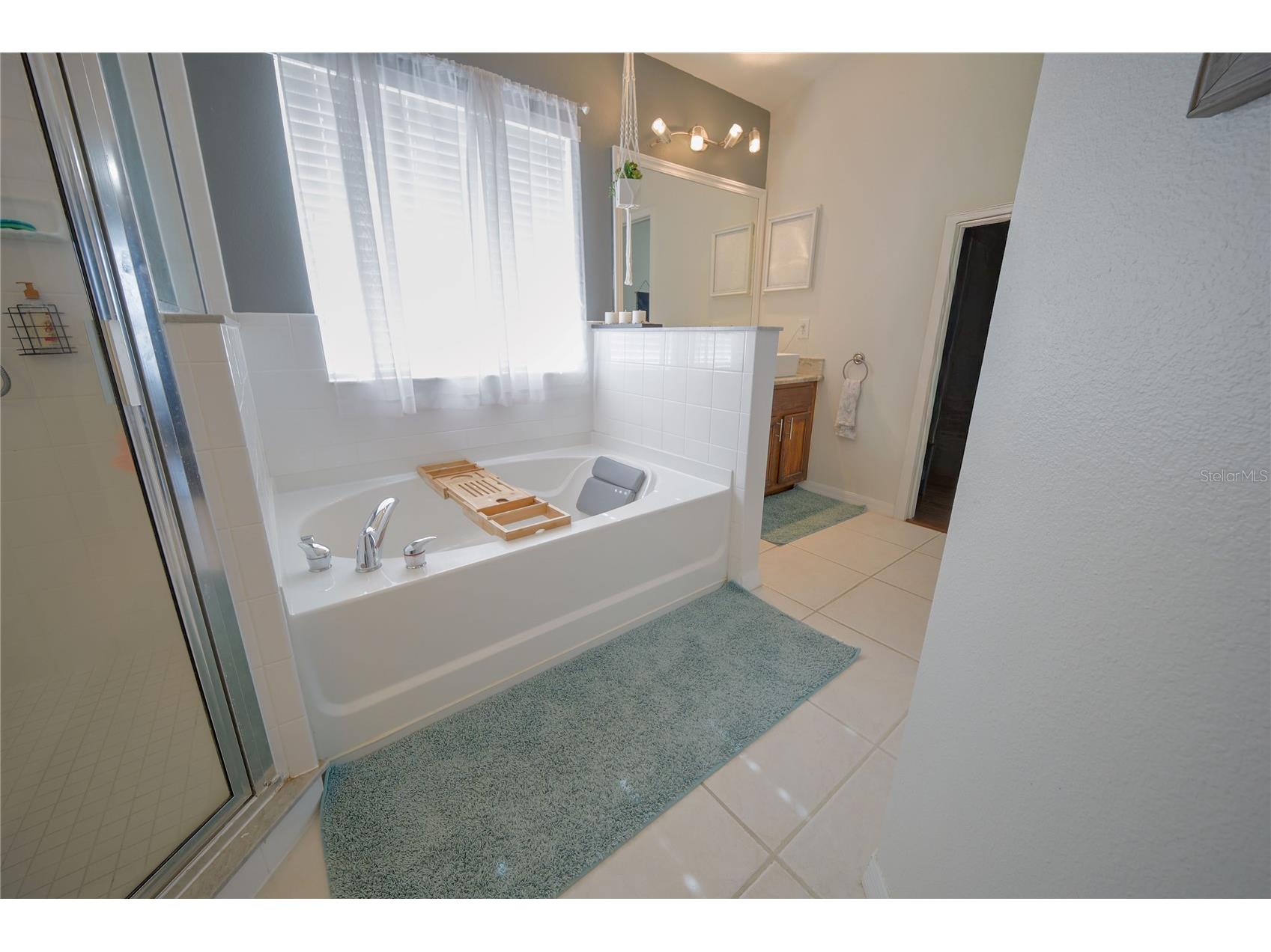 13425 Fladgate Mark Drive Riverview FL 33579 TB8507508 image22