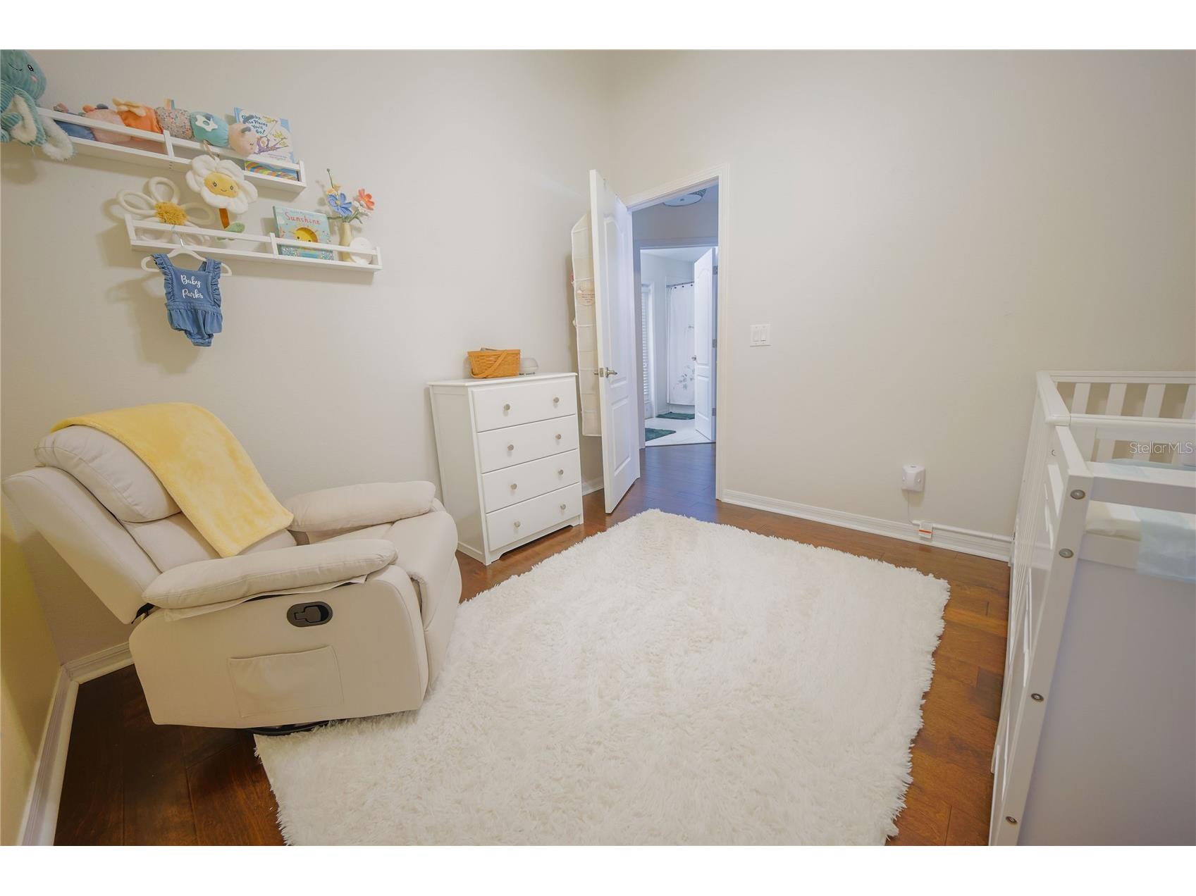 13425 Fladgate Mark Drive Riverview FL 33579 TB8507508 image24