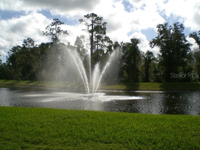 13426 Chariho Lane Windermere FL 34786 O6299520 image12