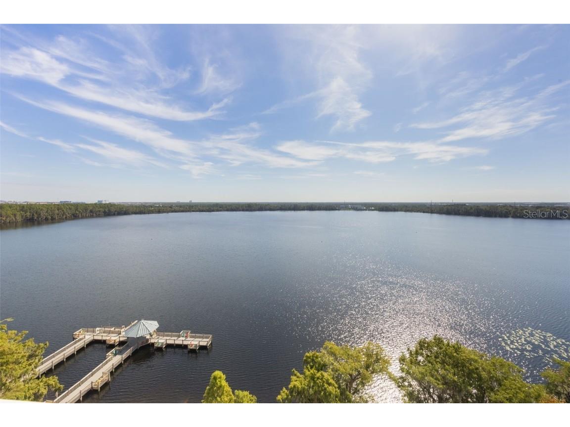 13427 Blue Heron Beach Drive #1003 Orlando FL 32821 O6343318 image34