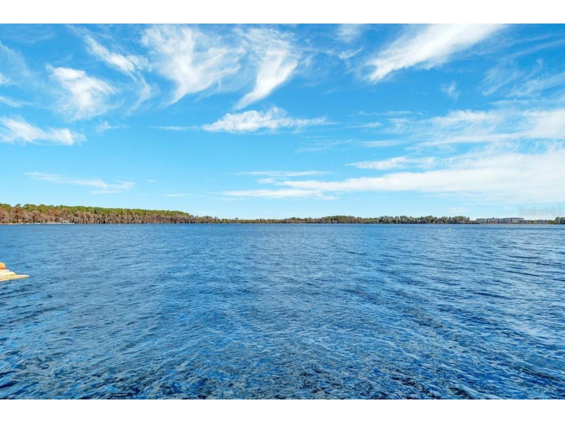 13427 Blue Heron Beach Drive #306 Orlando FL 32821 O6368758 image45