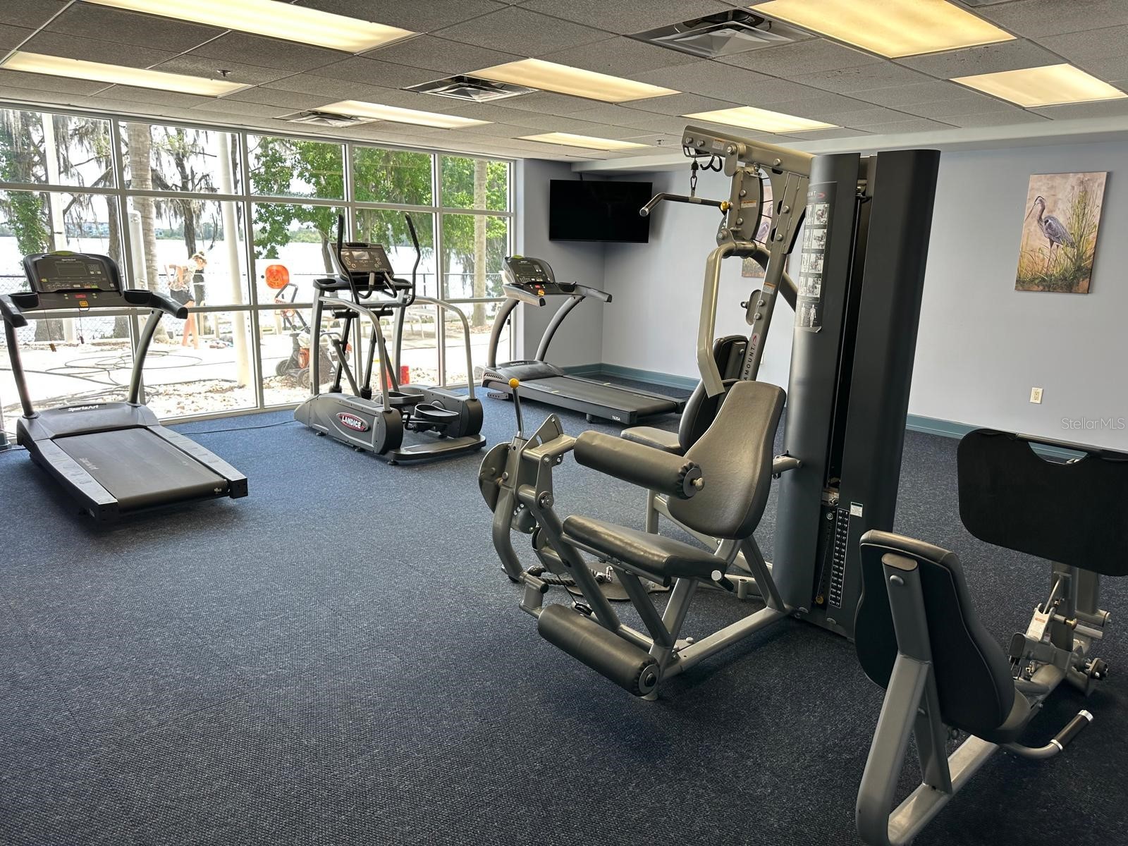 13427 Blue Heron Beach Drive #402 Orlando FL 32821 O6393754 image37