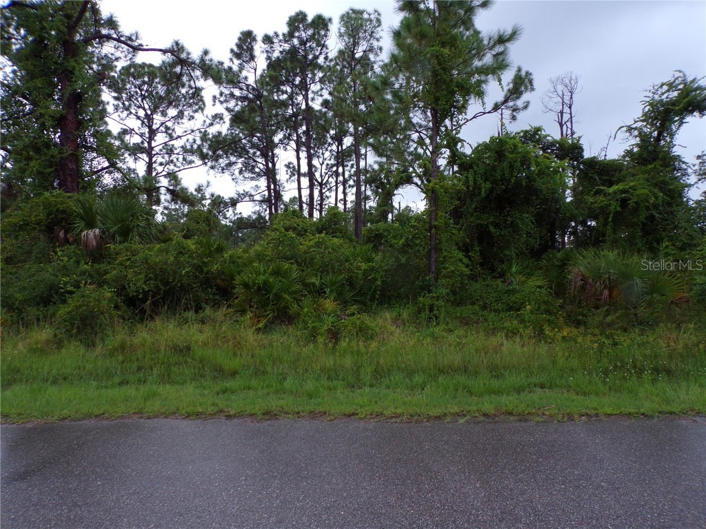 13427 Mary Jo Avenue Port Charlotte FL 33953 C7497561 image1