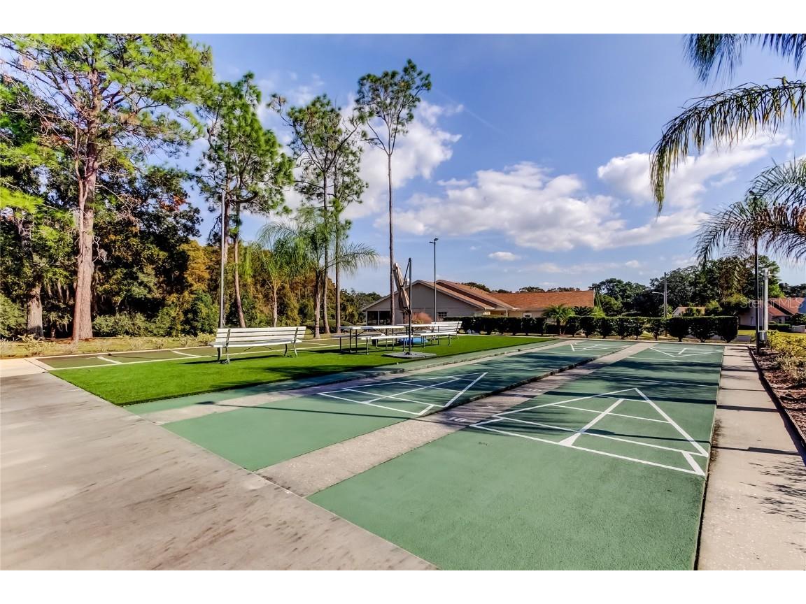 13428 Norman Circle Hudson FL 34669 TB8449611 image37