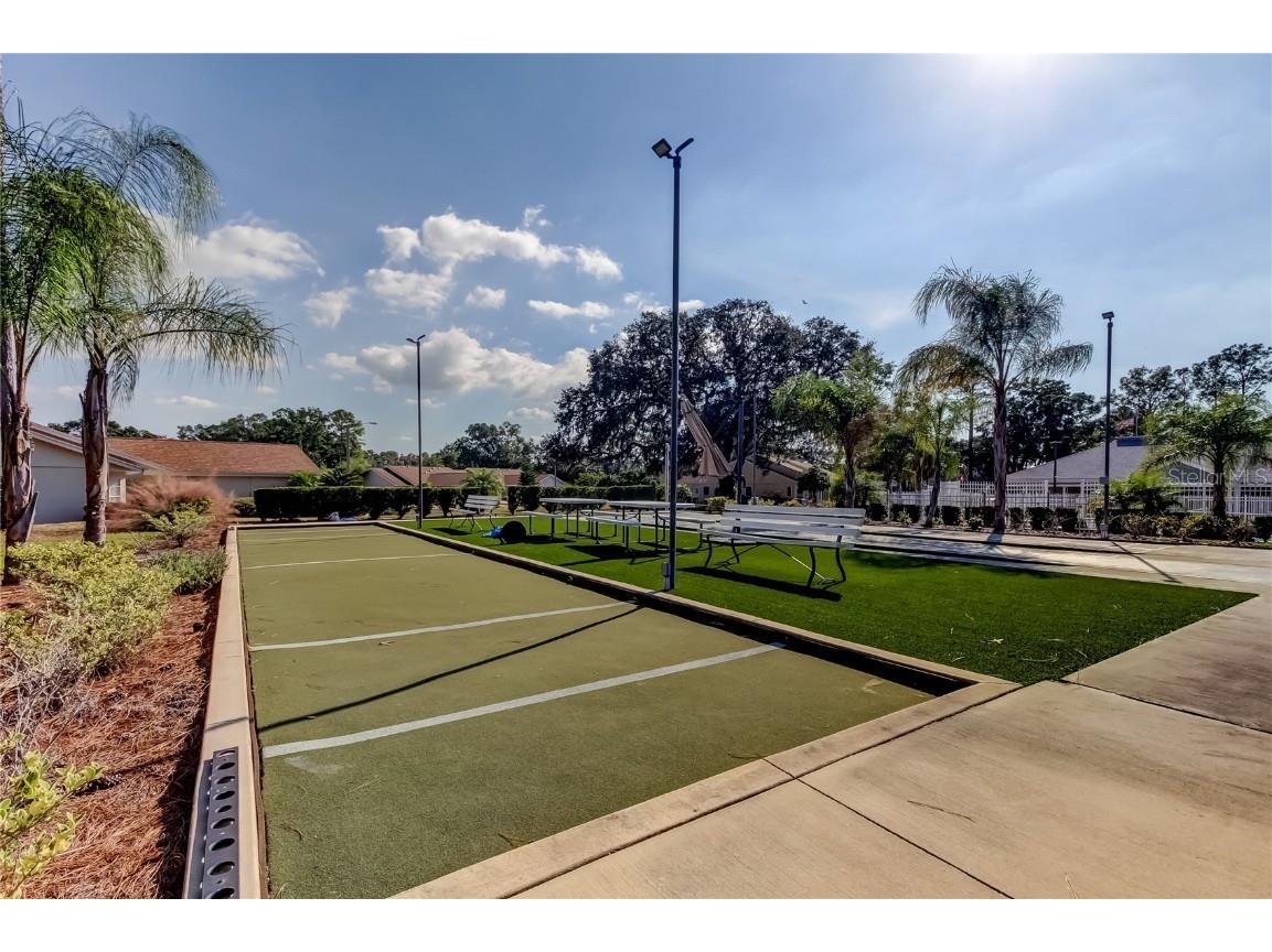 13428 Norman Circle Hudson FL 34669 TB8449611 image38