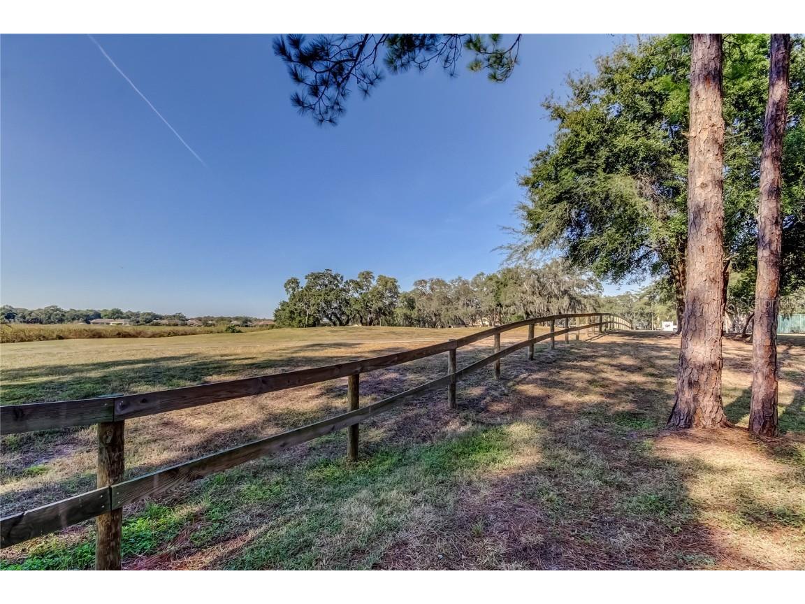 13428 Norman Circle Hudson FL 34669 TB8449611 image42