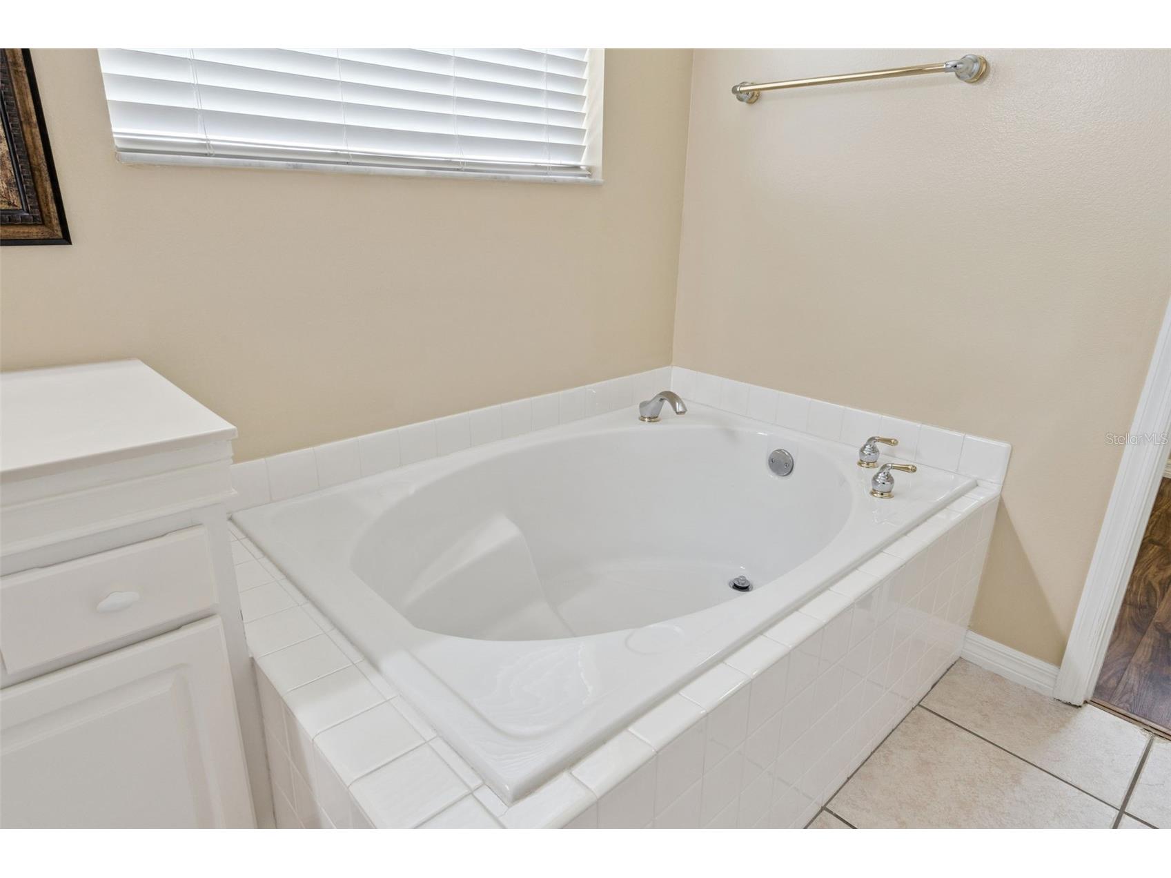 13429 Falcon Pointe Drive Orlando FL 32837 O6411617 image36