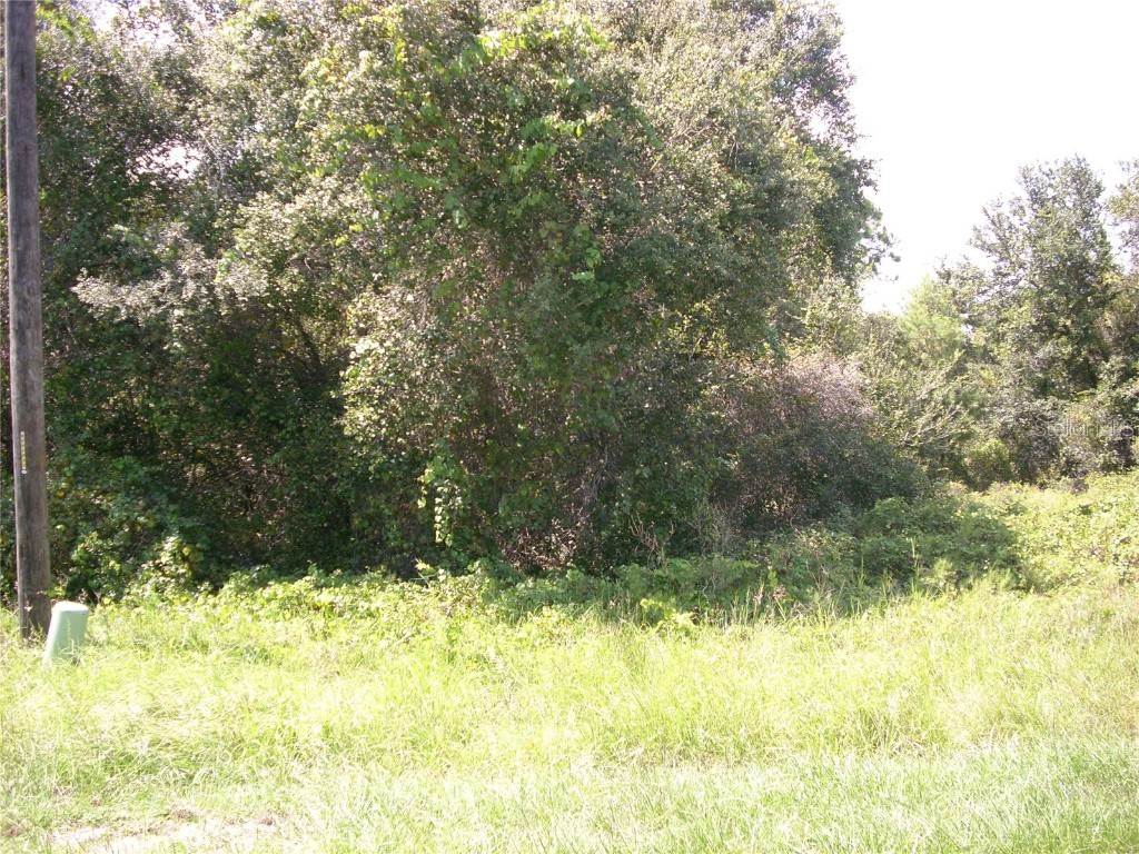 1343 Congo Court Kissimmee FL 34759 S5135086 image2