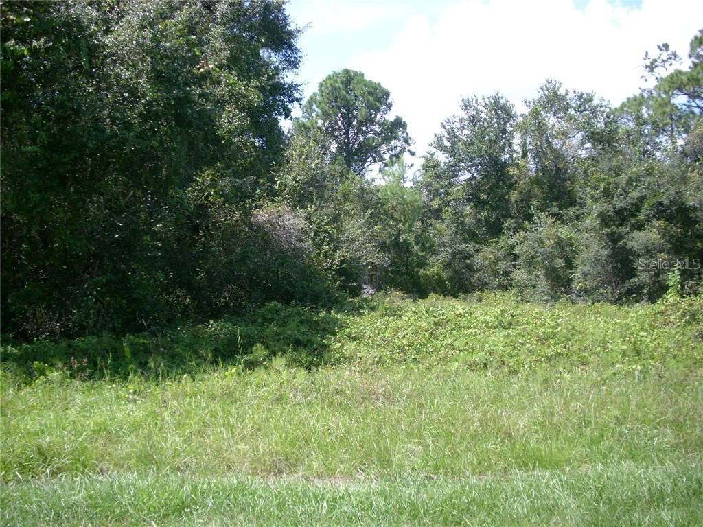 1343 Congo Court Kissimmee FL 34759 S5135086 image3